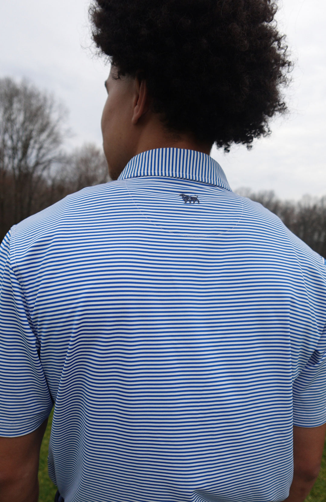 Jersey Stripes Polo