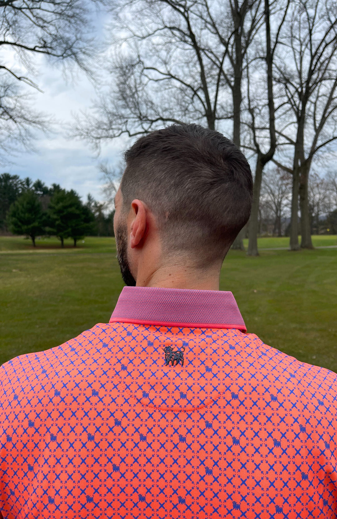 Geo Moo Polo