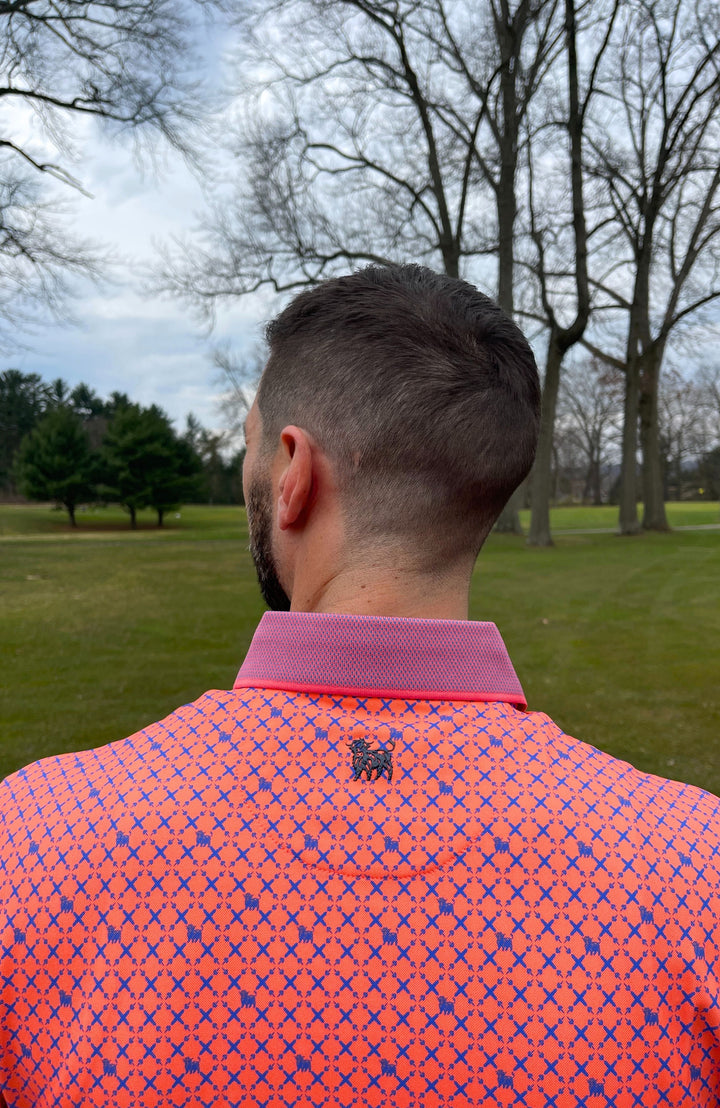 Geo Moo Polo