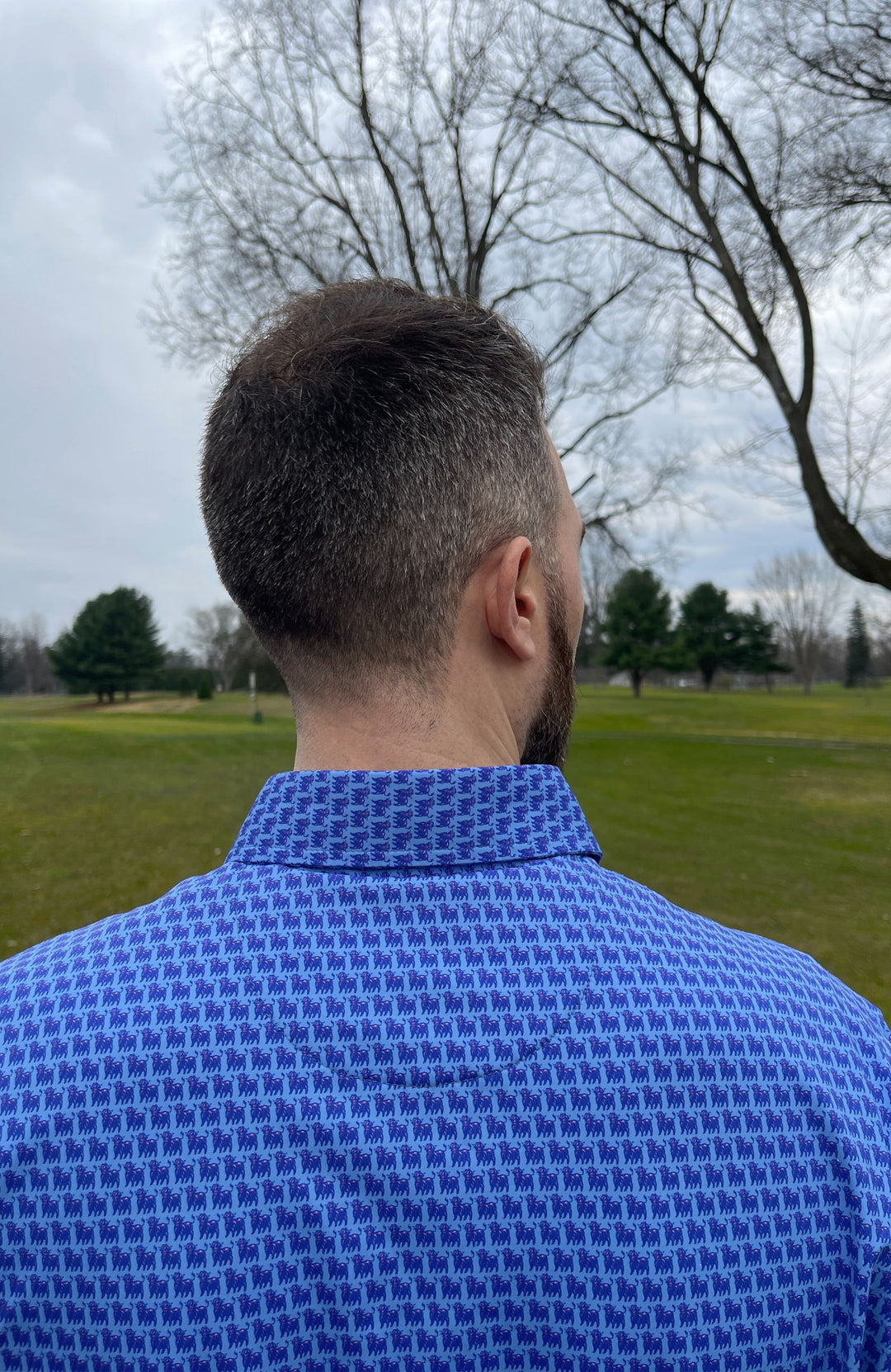 Zippy Polo