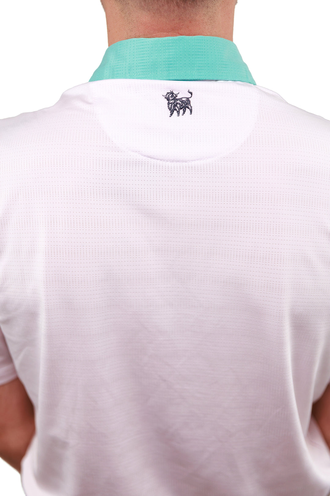 Dobby Polo with Contrast Collar
